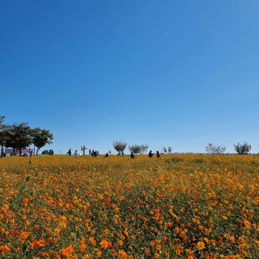 아이와 가볼만한 곳 –&nbsp;안성팜랜드
