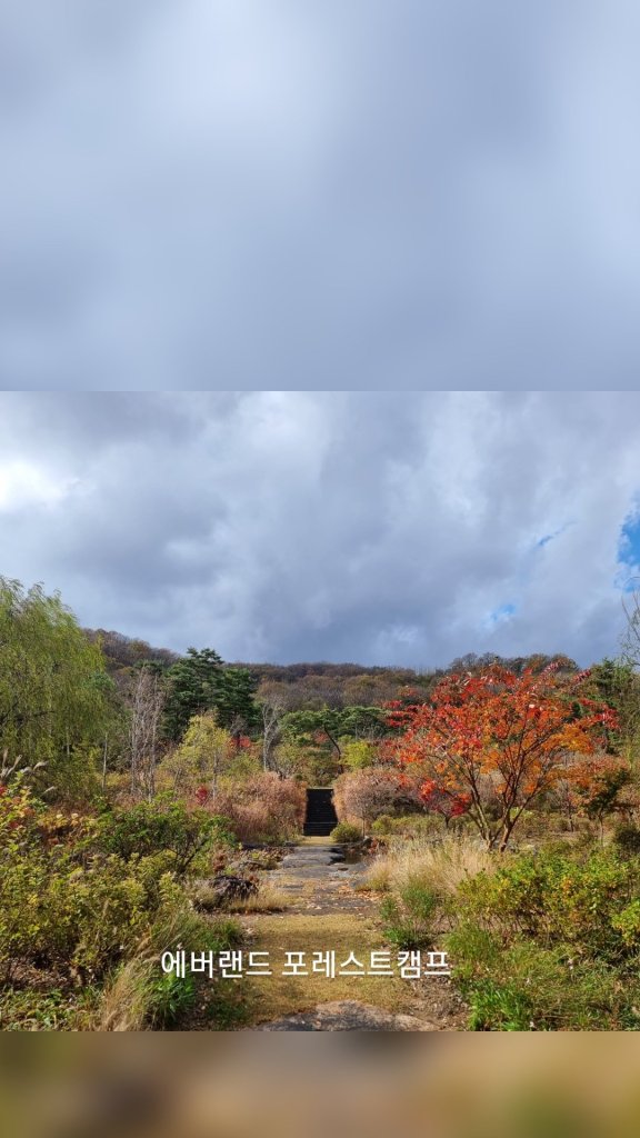 에버랜드 포레스트캠프